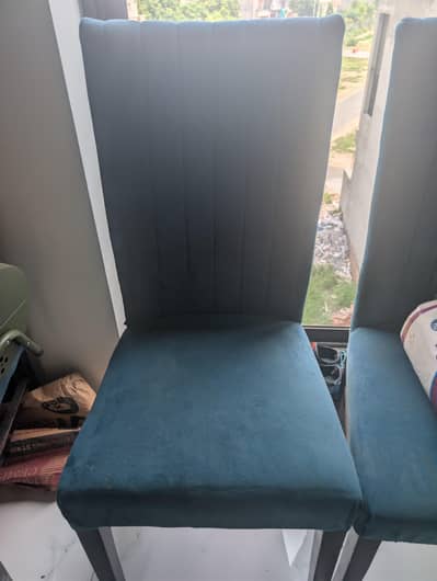 Dining Chairs