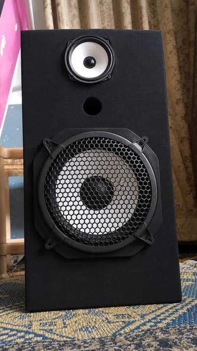  Powerful 10-Inch Subwoofer Speaker – Heavy Bass | 100W Output
