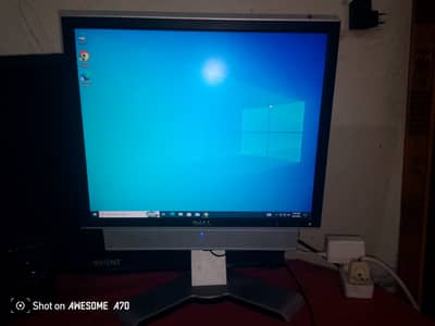 6 month used