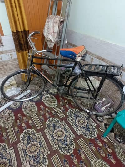 Bicycle For sale Saf Sutri