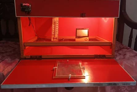 50 Egg Incubator