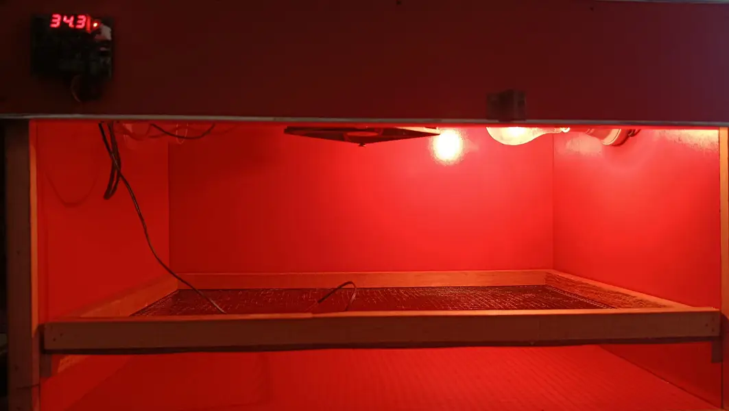 50 Egg Incubator — photo 5