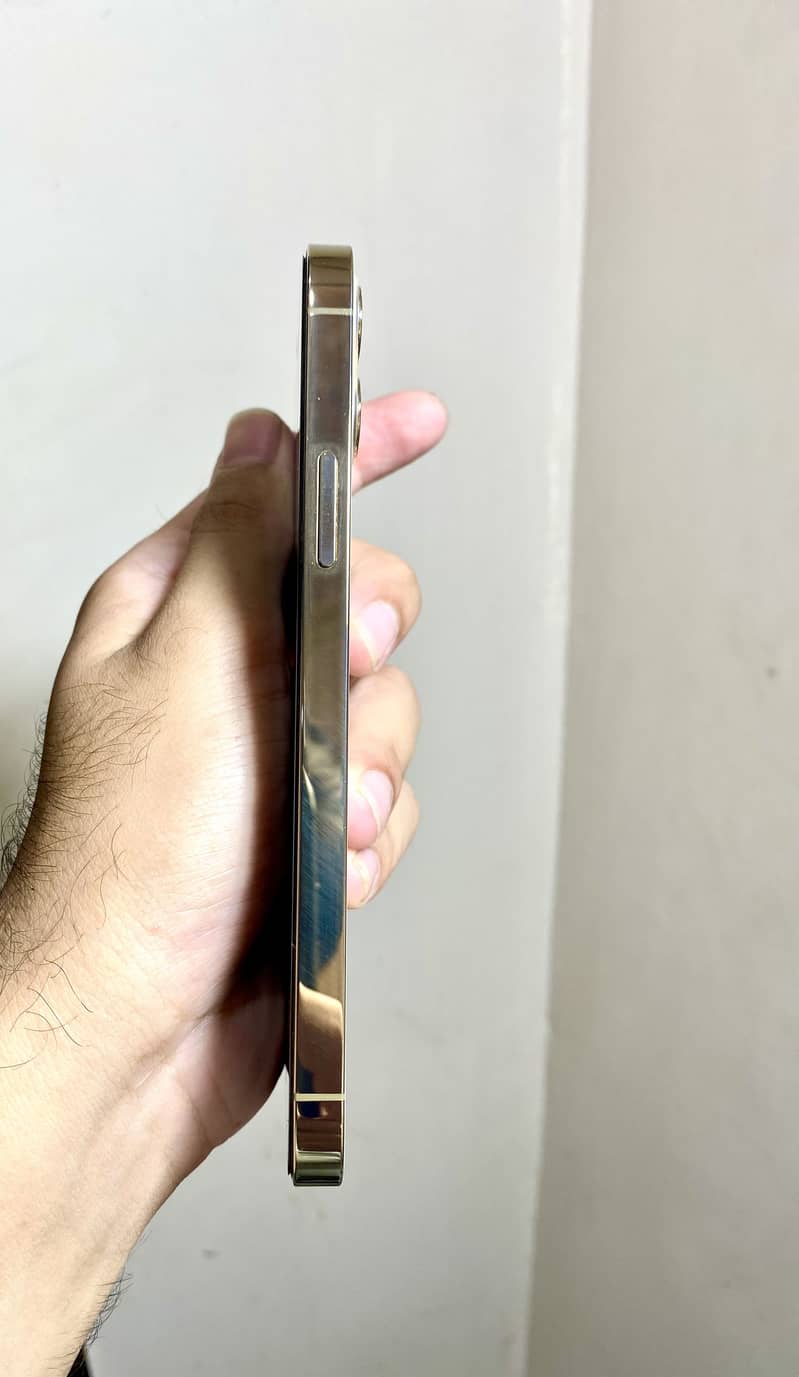 iPhone 12 Pro 1