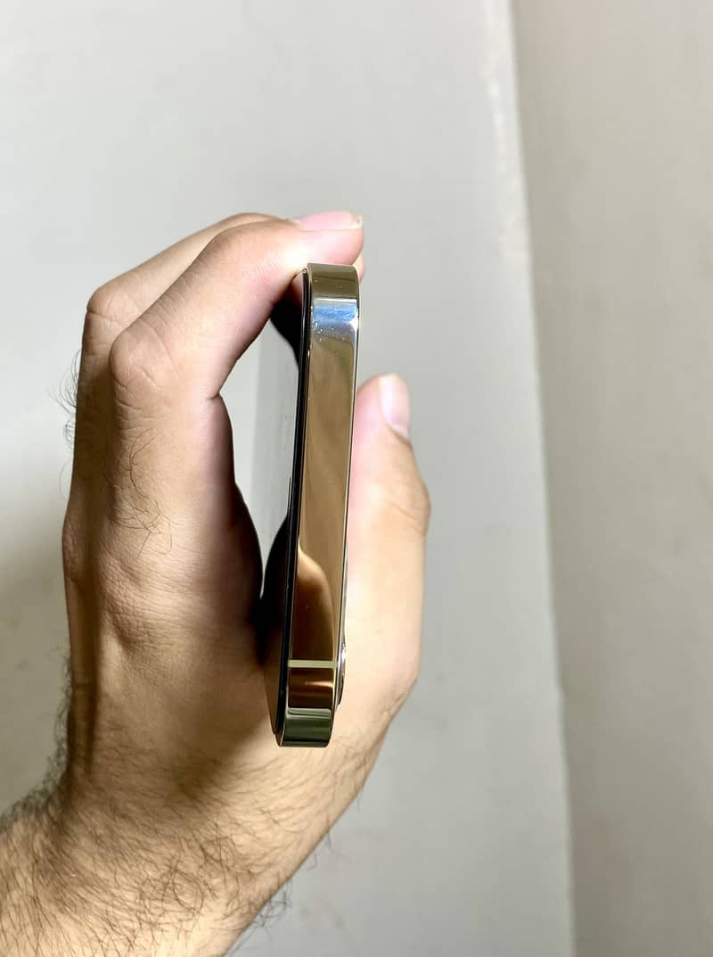 iPhone 12 Pro 2