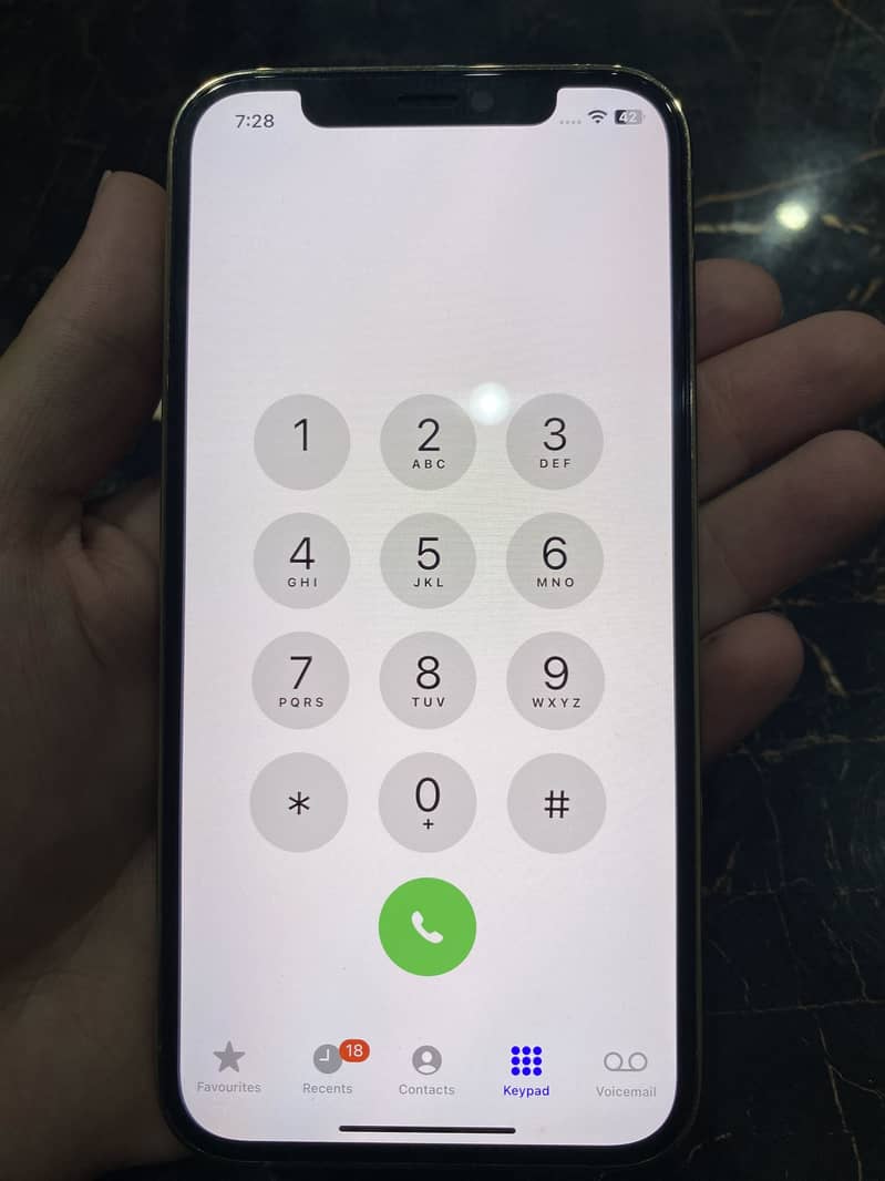 iPhone 12 Pro 4