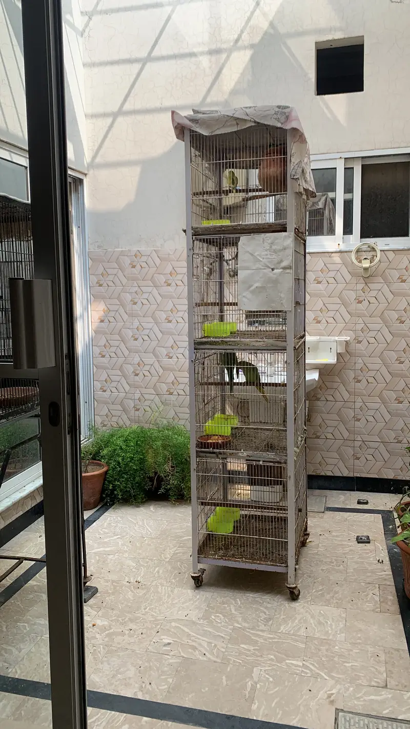 Cage for sale — photo 2