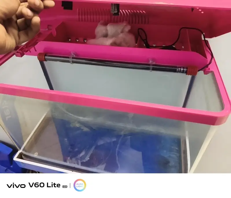 imported aquarium zero damage — photo 4