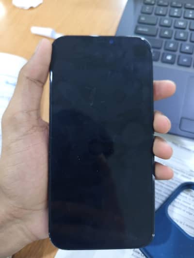 Apple iPhone 12 Pro Max
