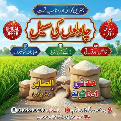 Al Saber Gold Rice - Madni B-1 Gold - Special Offer - Home Delivery