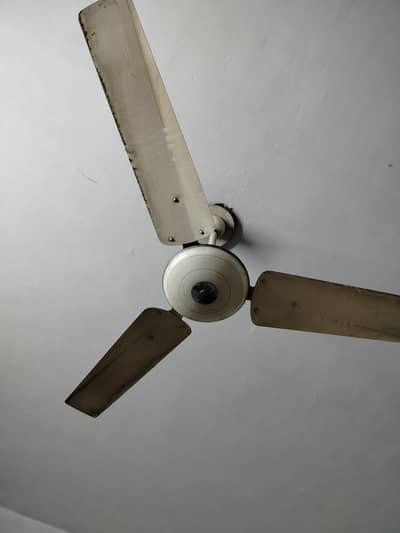 3 cealing fans 2 pedestal fan for sale