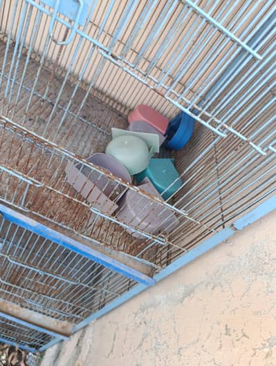 Bird's cage for sale