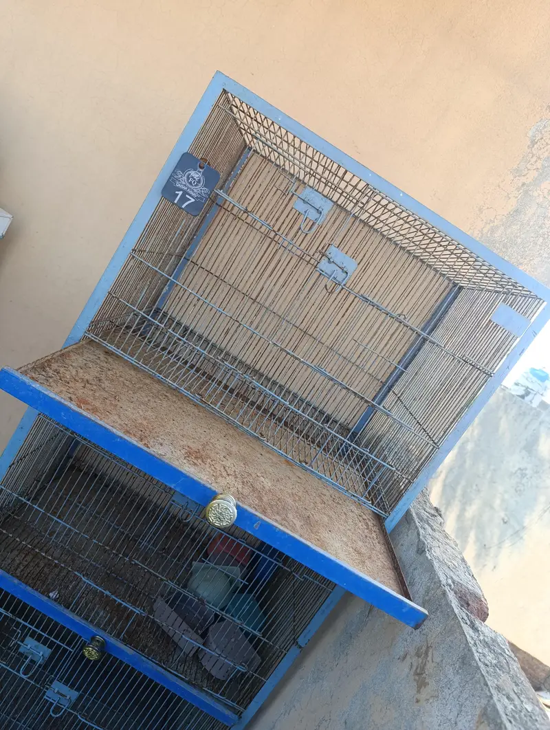 Bird's cage for sale — photo 2