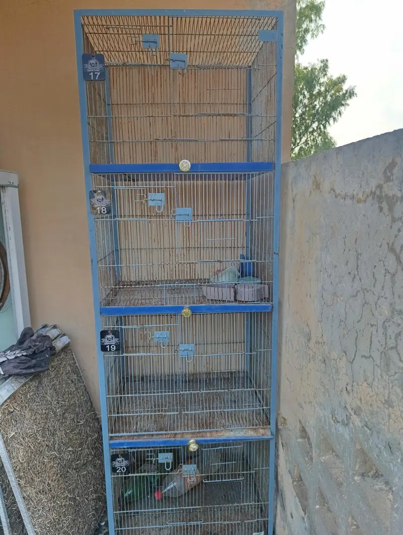 Bird's cage for sale — photo 3