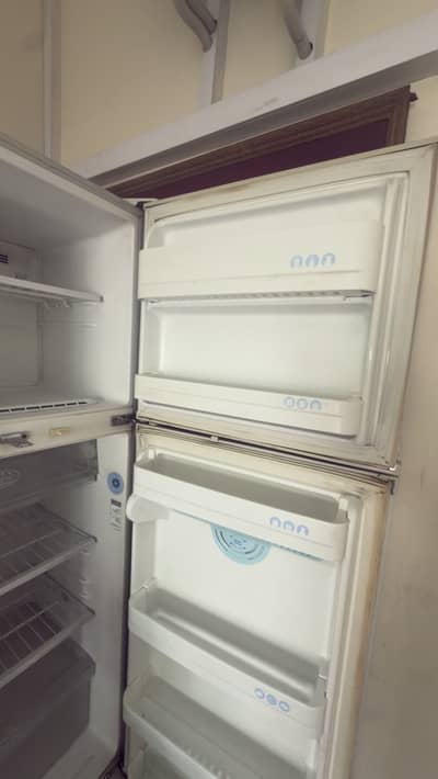Lg fridge