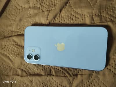 iPhone 12