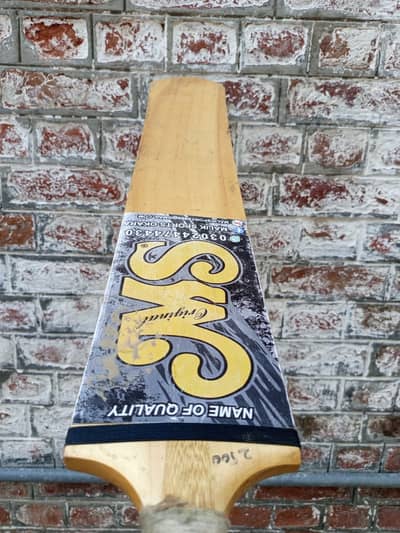 MS cricket Bat