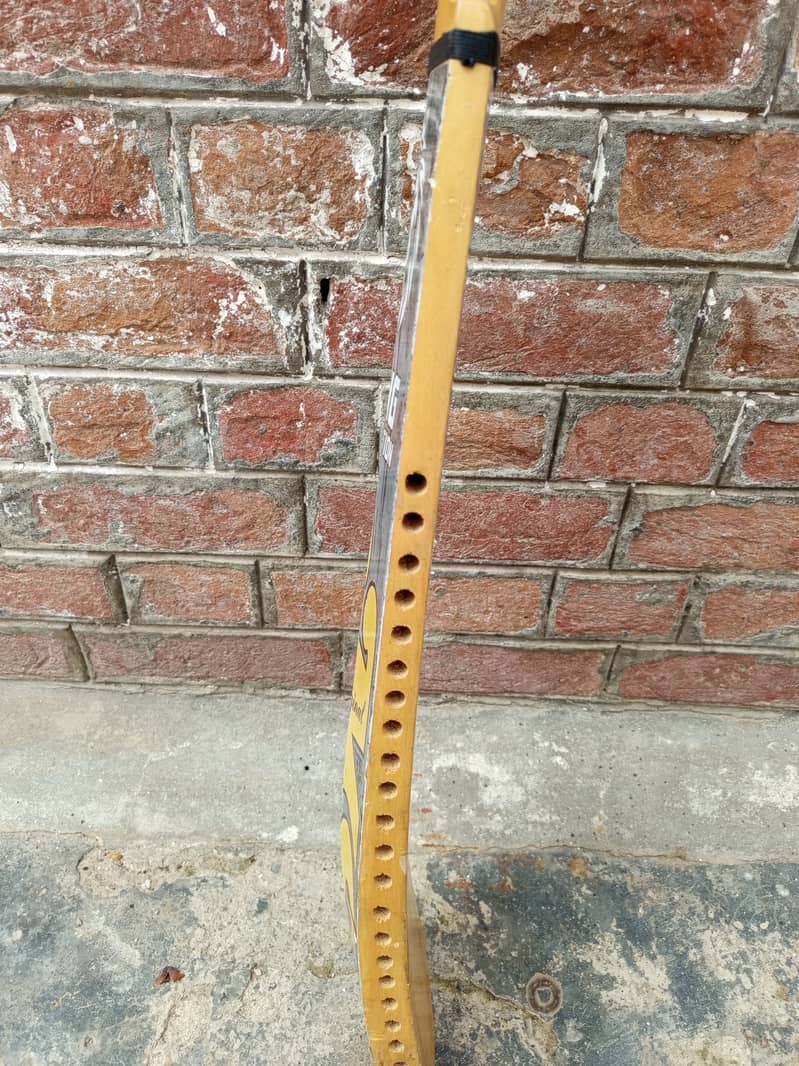 MS cricket Bat 1