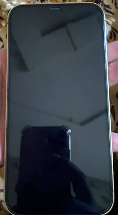 Apple iPhone 12 Pro Max