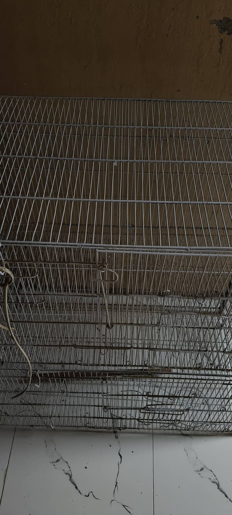 Five Portion Birds Cage 1