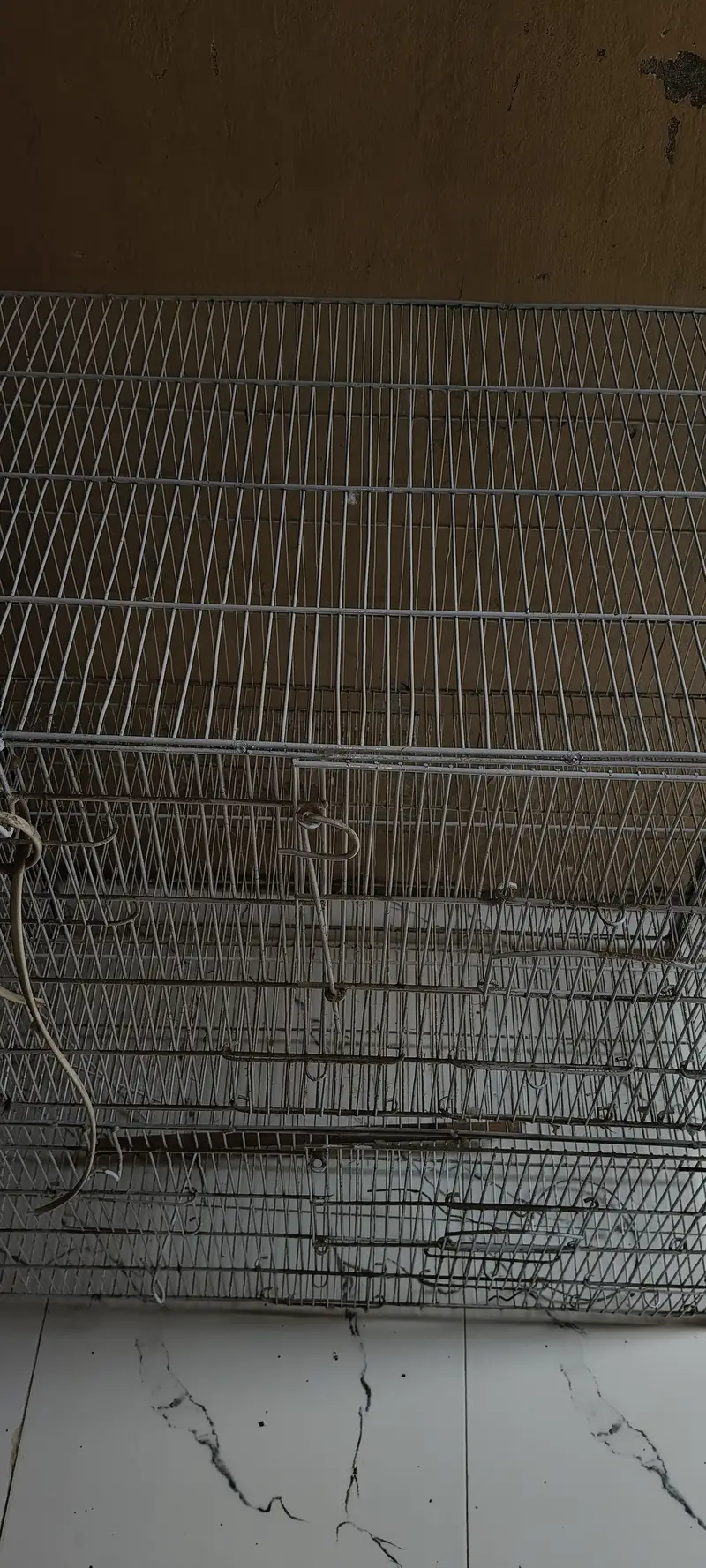 Five Portion Birds Cage — photo 2