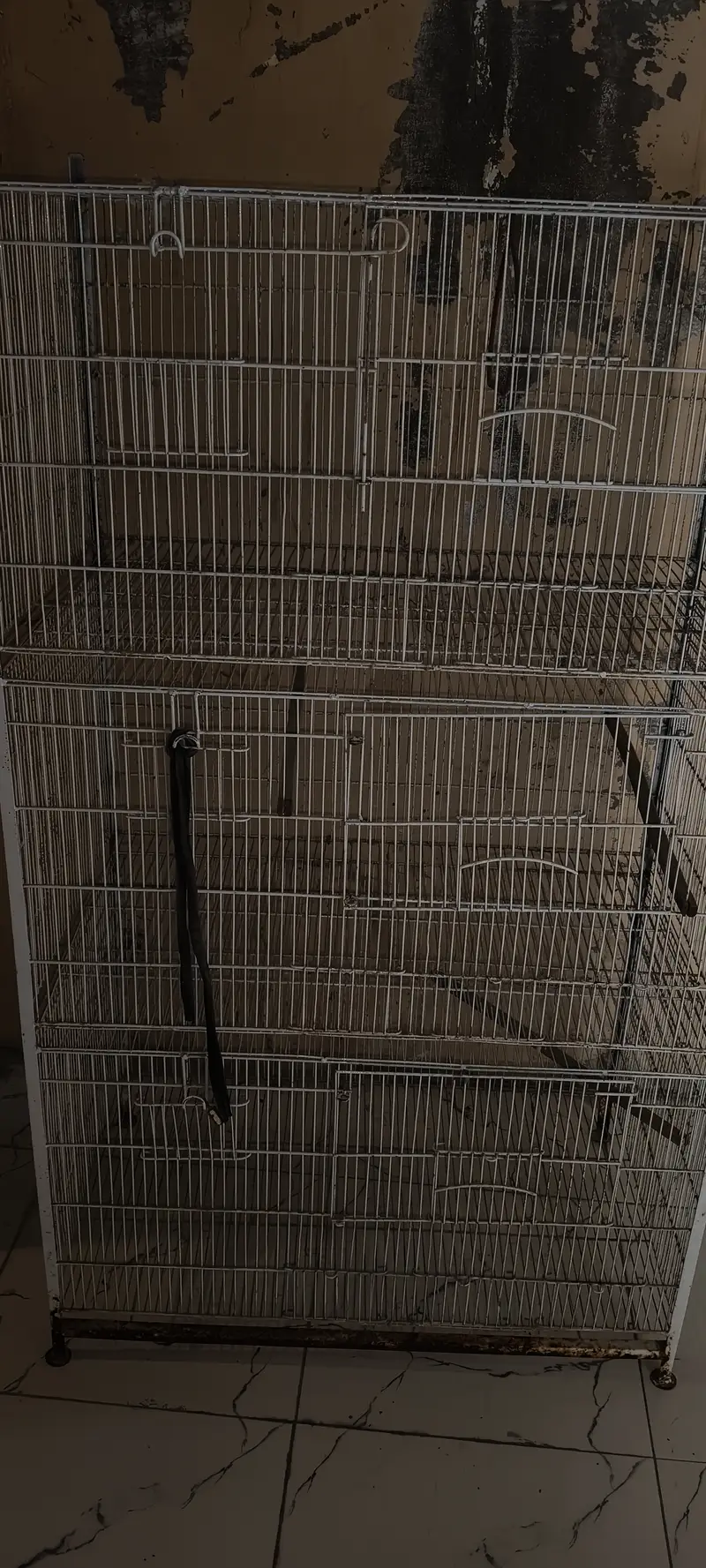 Five Portion Birds Cage — photo 3