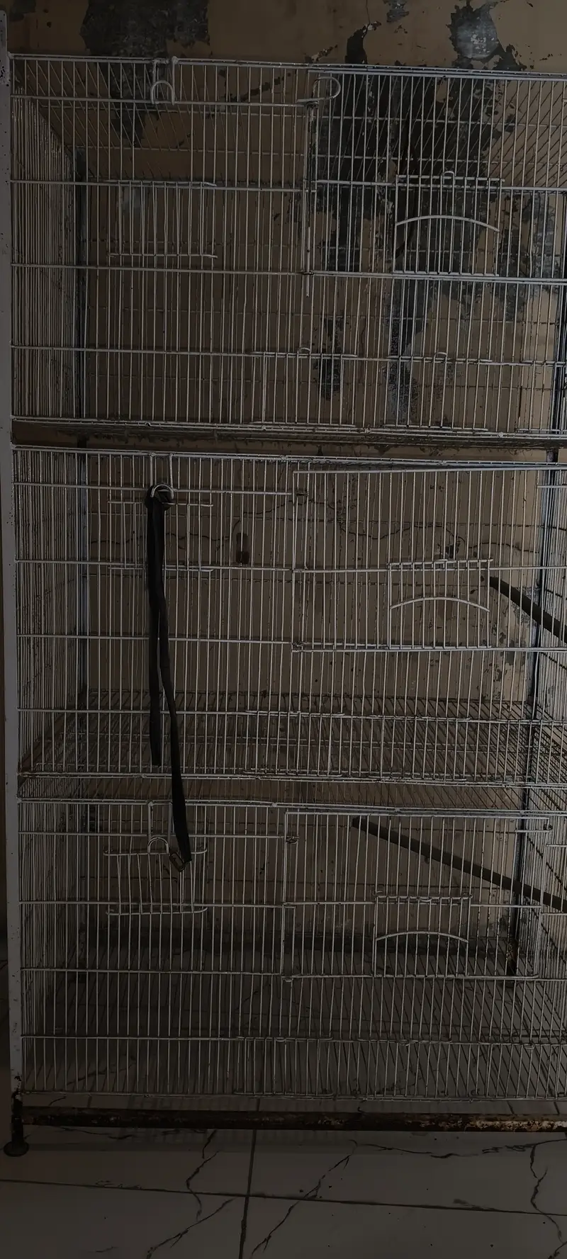 Five Portion Birds Cage — photo 4