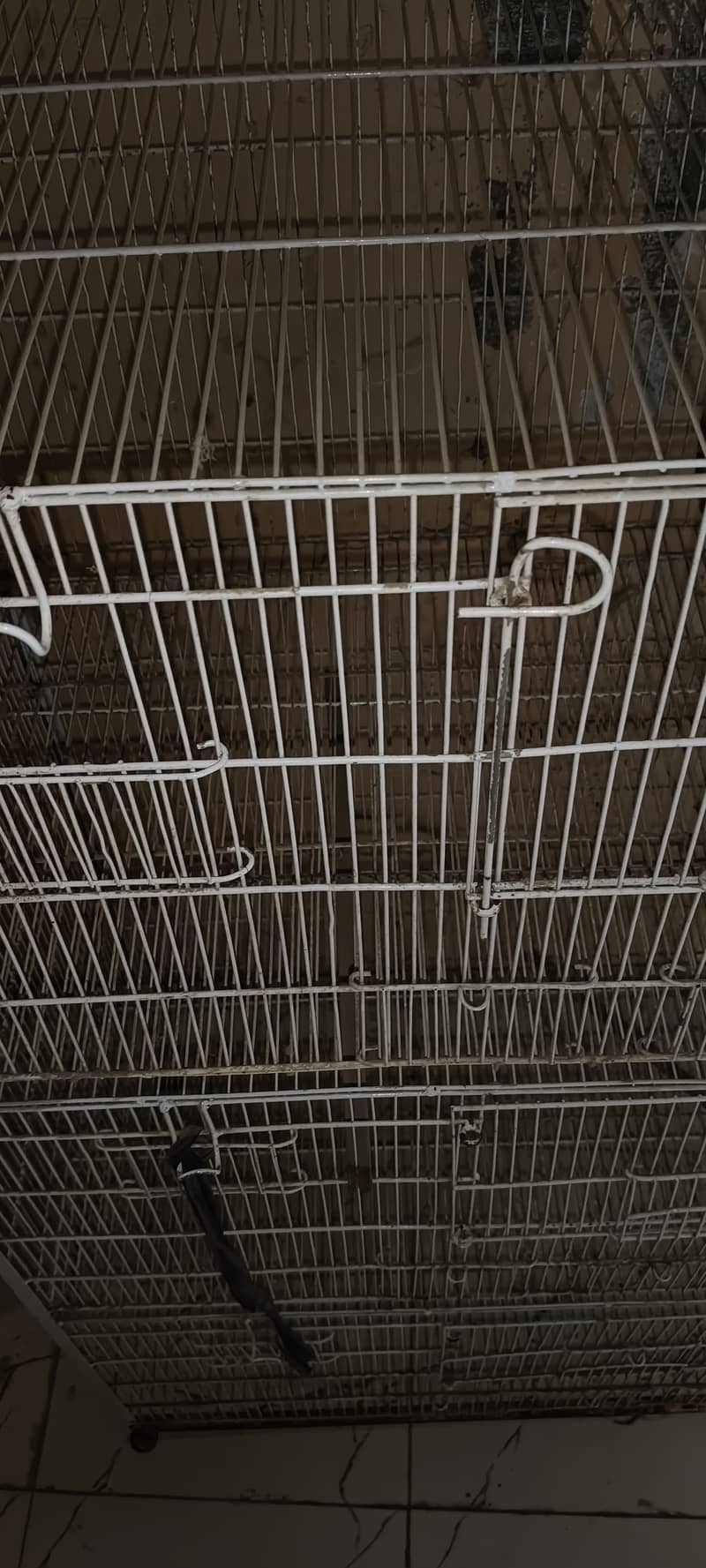 Five Portion Birds Cage 4