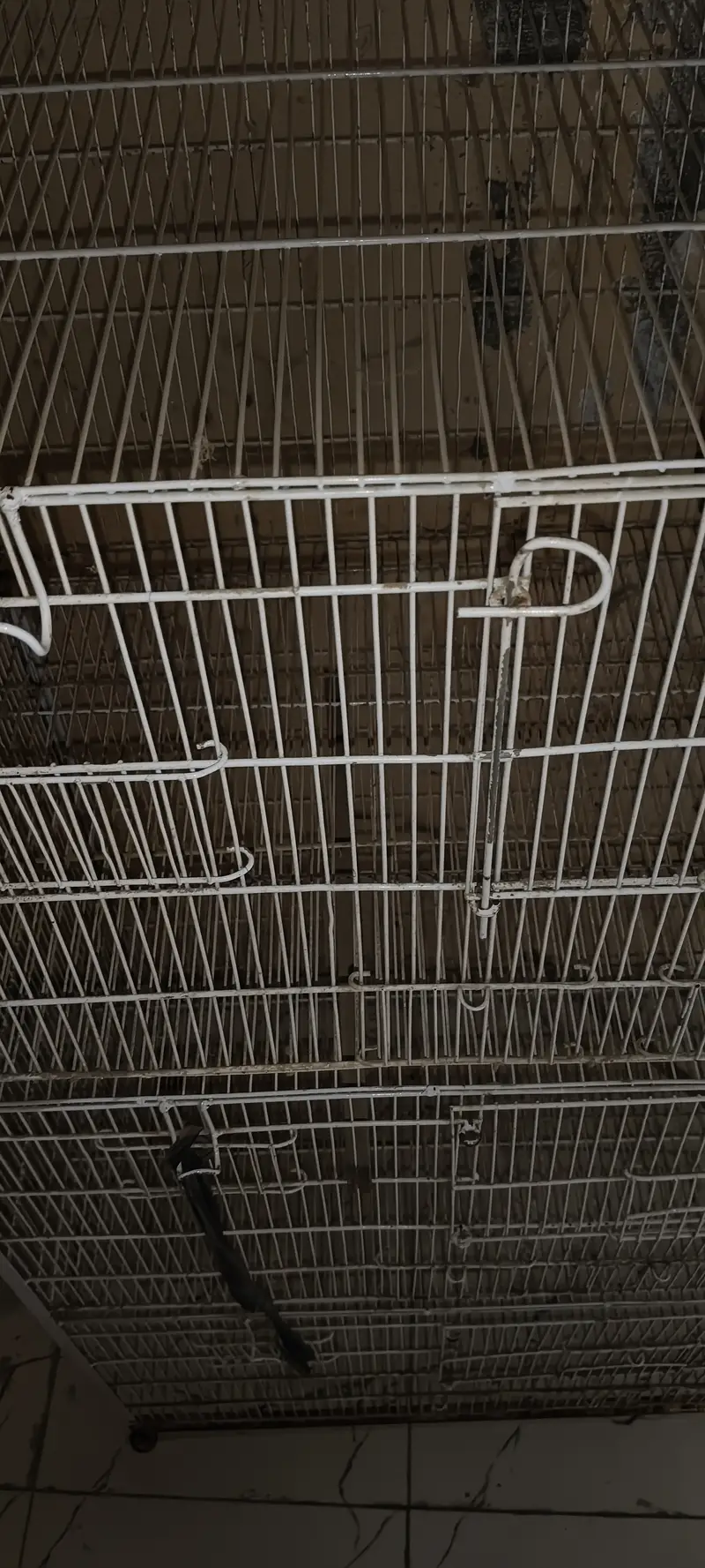 Five Portion Birds Cage — photo 5