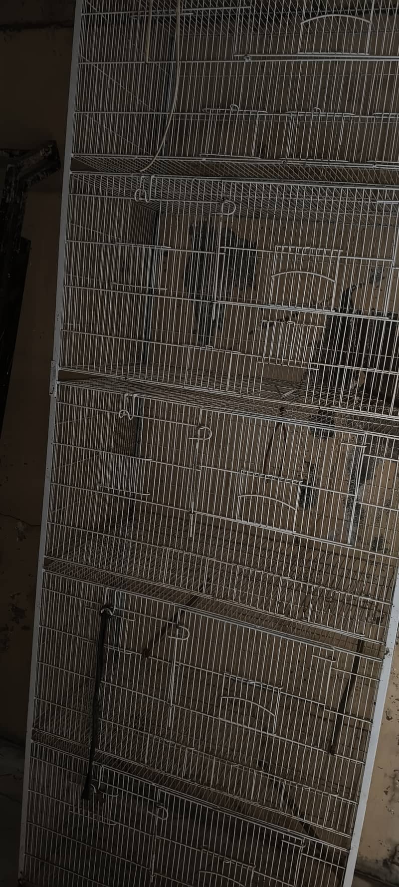 Five Portion Birds Cage 5