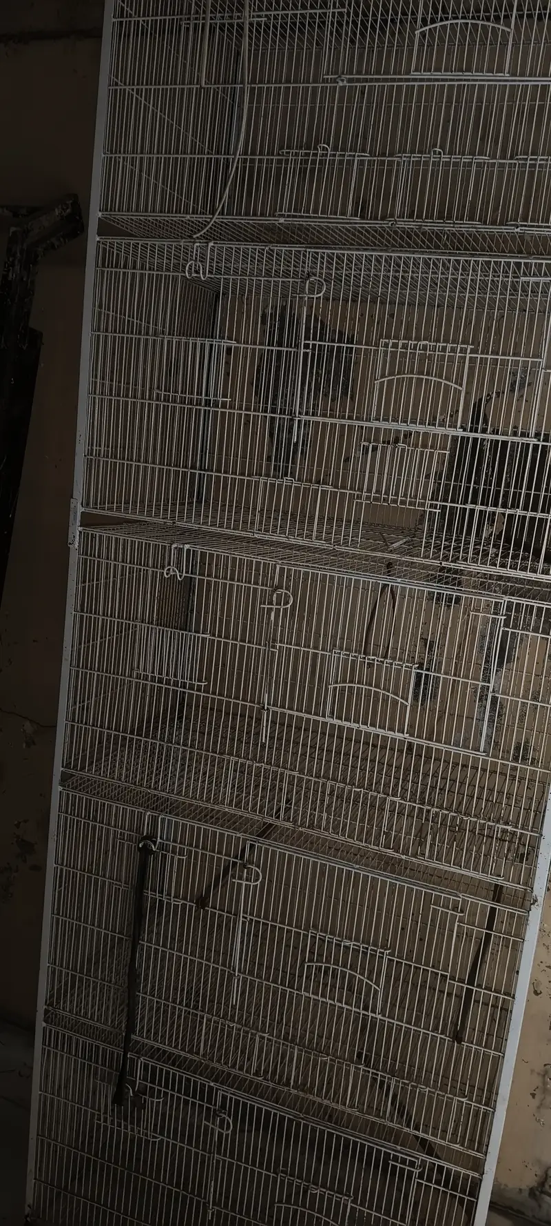 Five Portion Birds Cage — photo 6