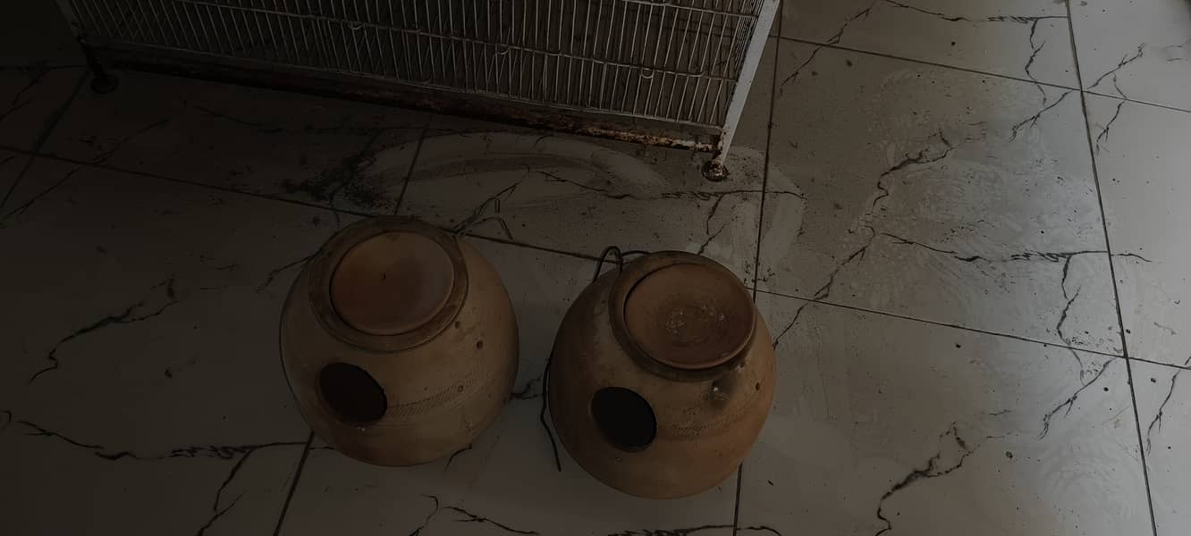 Five Portion Birds Cage 13