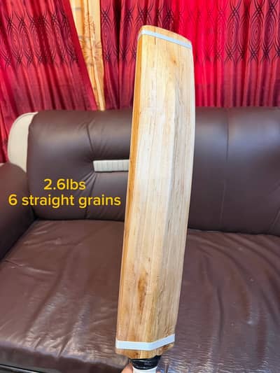 English Willow Cricket Bat For Begineers