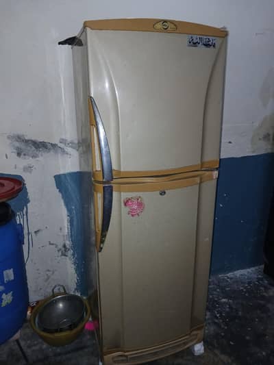 Pel Fridge for sale 2012