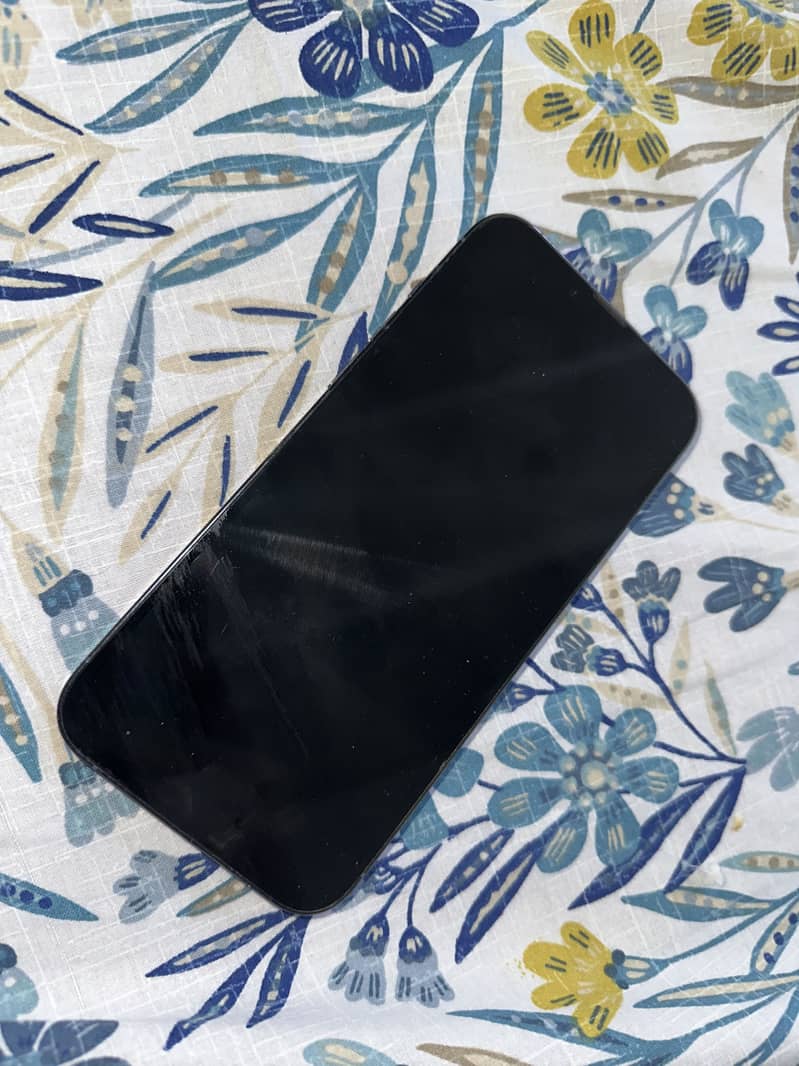 Apple iPhone 13 Pro Max 2