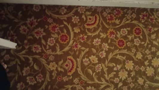 Carpet