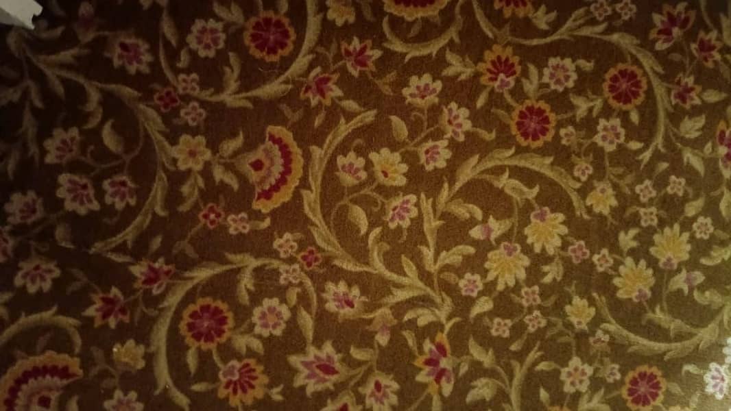 Carpet 1