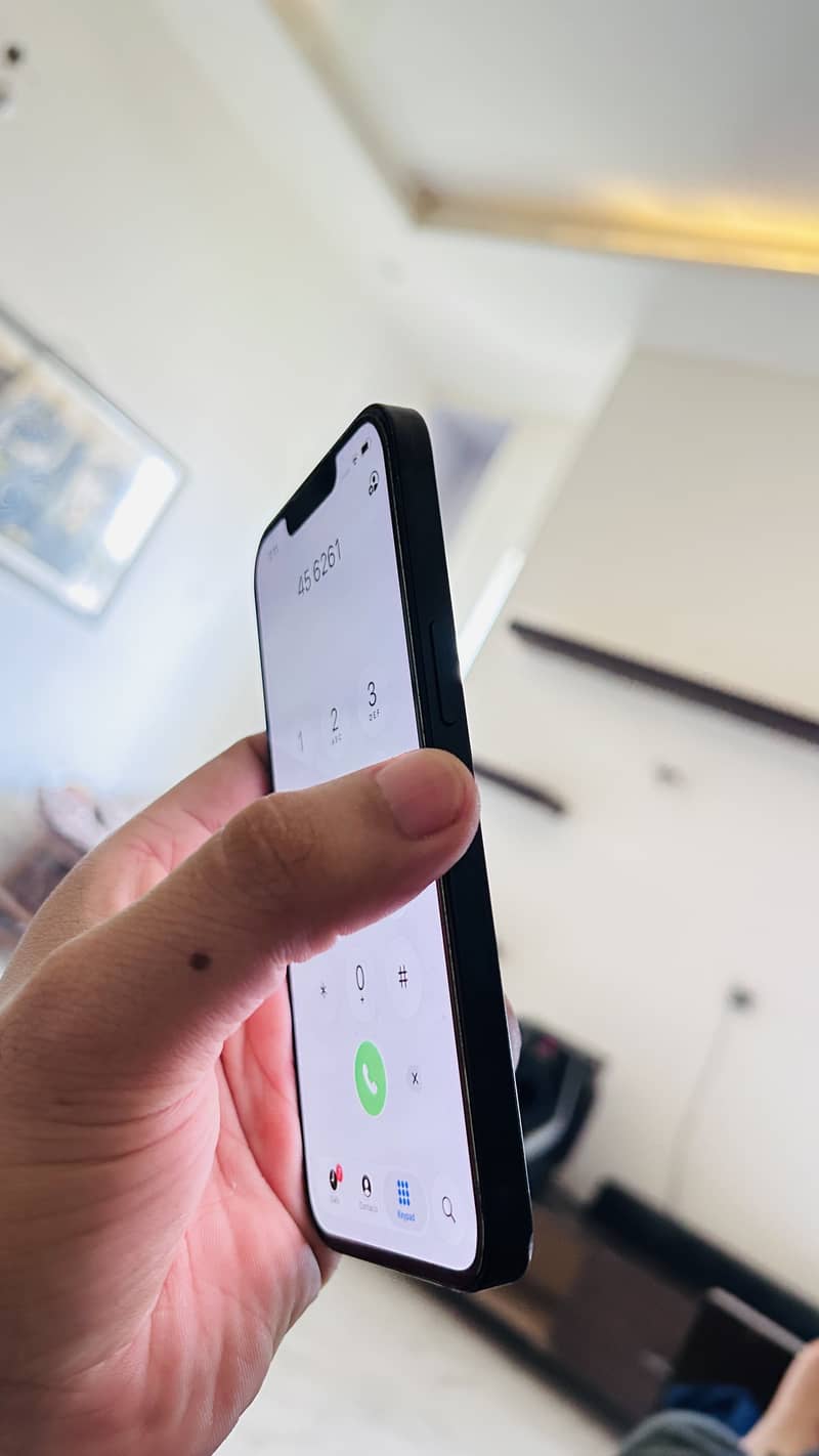 Apple iPhone 13 0