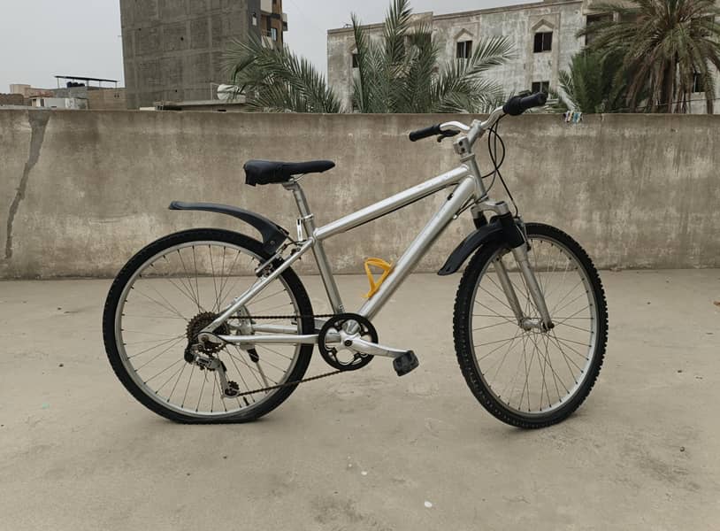 Imported Bicycle 1