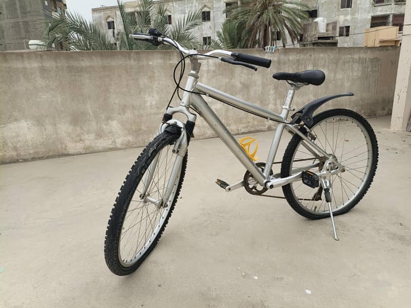Imported Bicycle 2