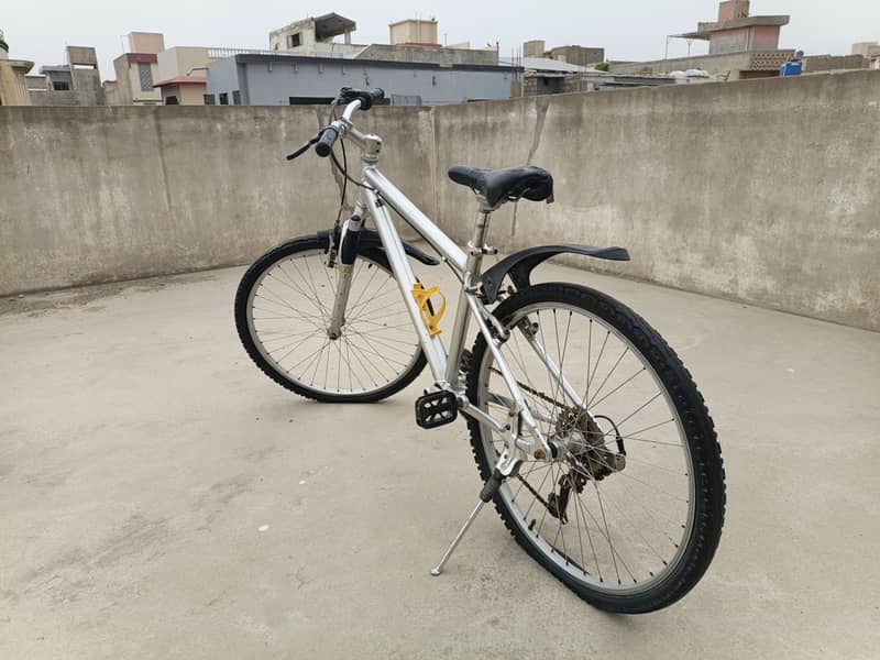 Imported Bicycle 3