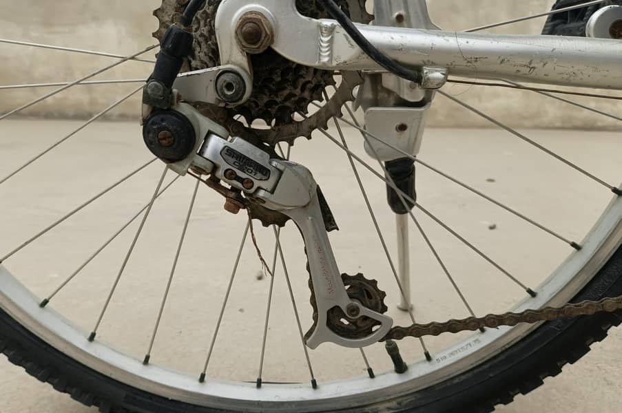 Imported Bicycle 6