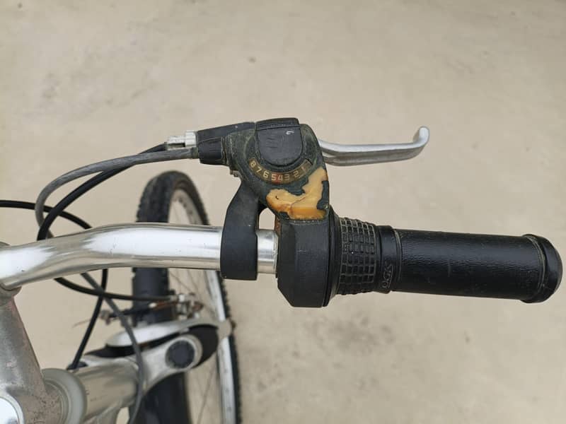 Imported Bicycle 7