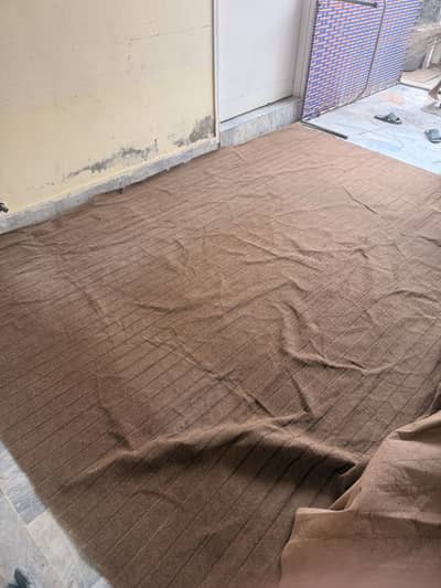 Brown Carpet with lining