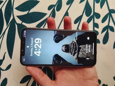 Apple iPhone X