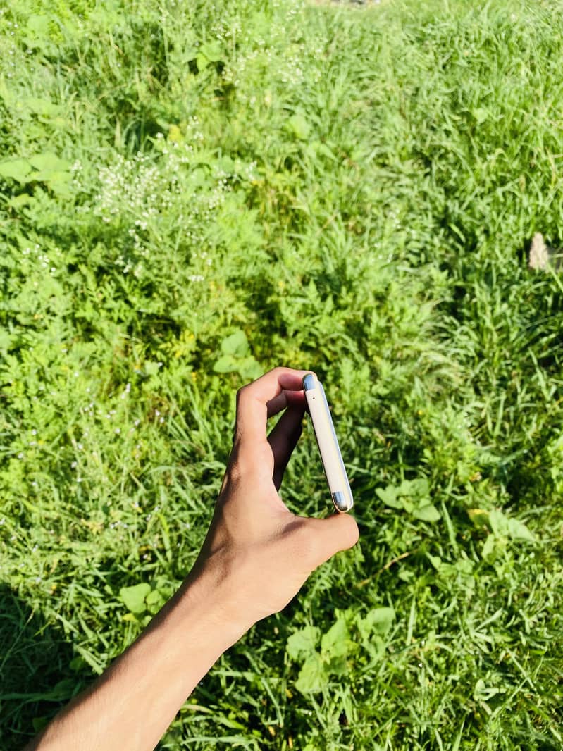 Google Pixel 6 Pro 5