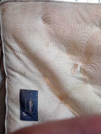 Silent night Imported Mattress King Size