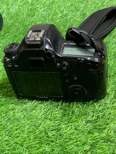 CANON 6D