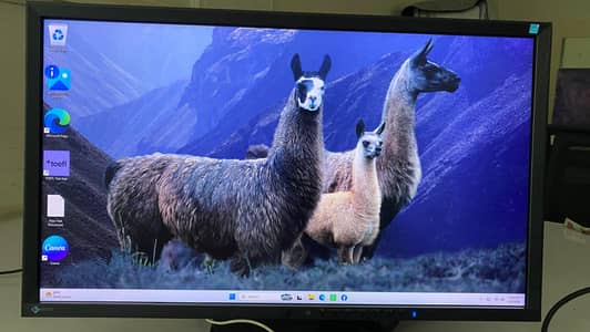 monitor / LCD