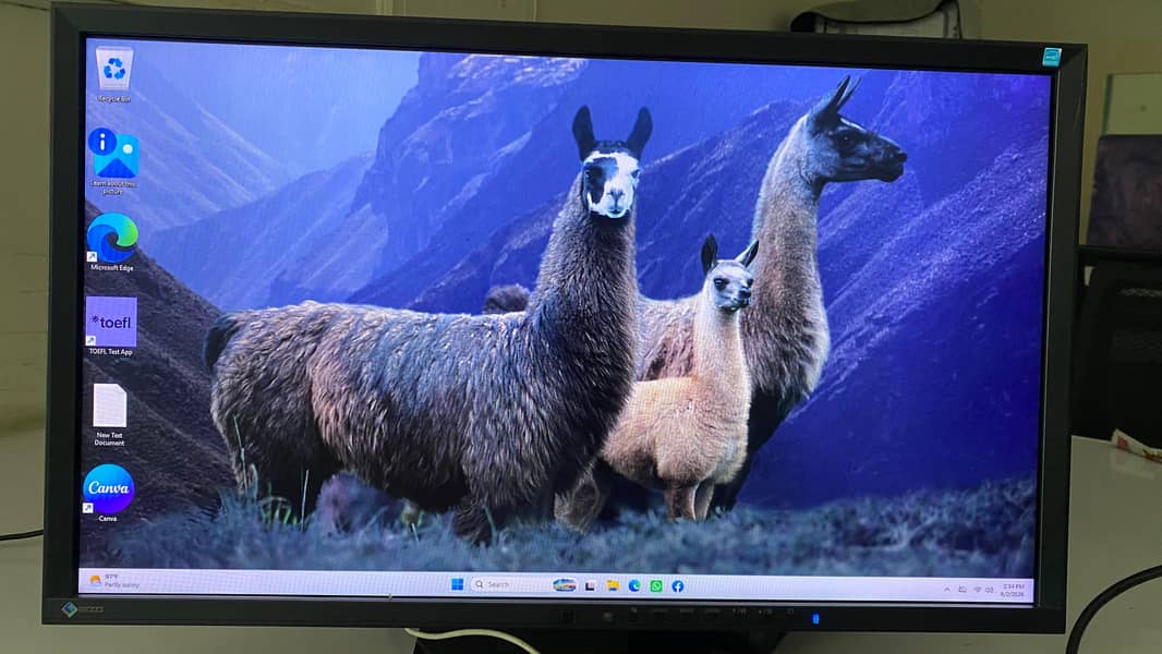 monitor / LCD 0