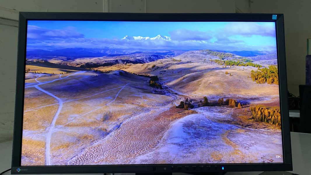 monitor / LCD 1